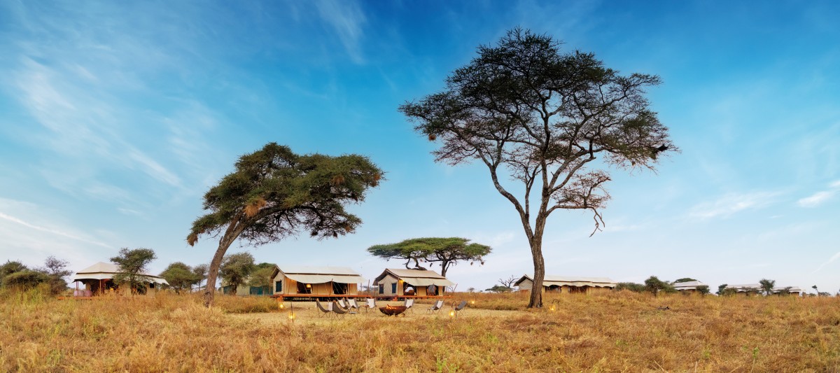 Siringit Migration Camp